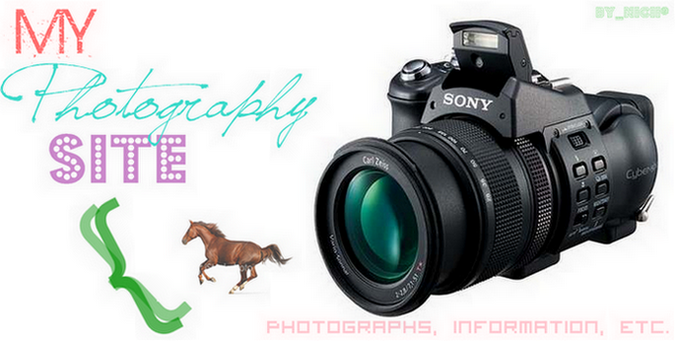 ● MY PHOTOGRAPGY SITE | MOZILLVAL NZD! |